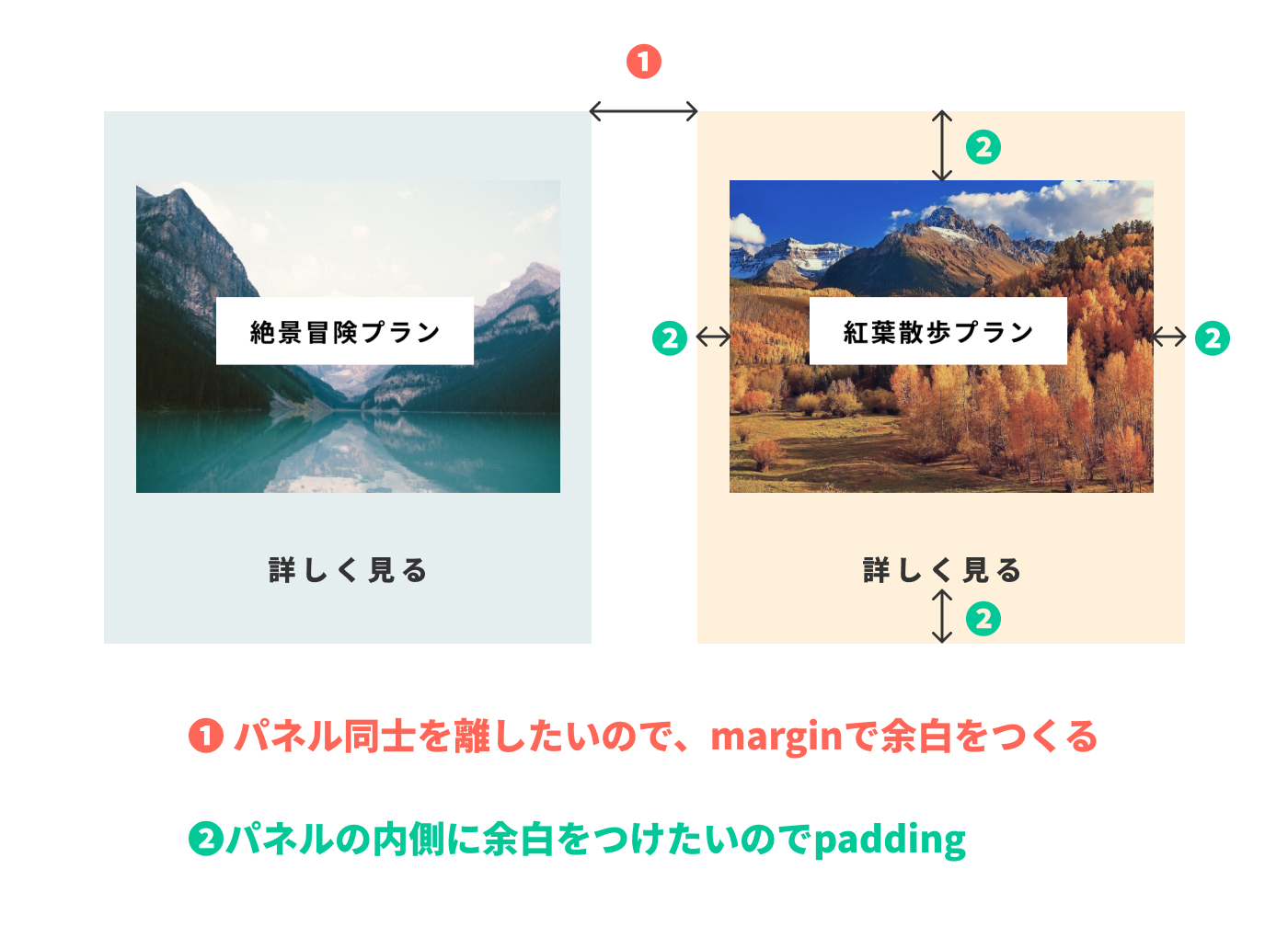 実際のデザインのmarginとpaddingの付け方の例